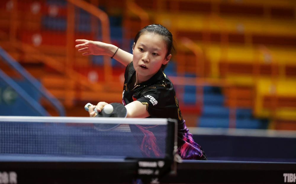 培养上的成 培养上的成